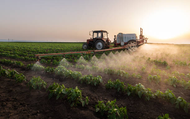 Insect Control in Hargill, TX